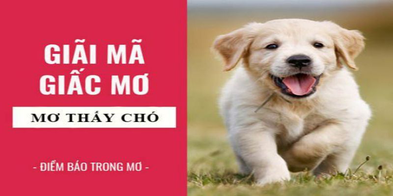 Ý nghĩa chiêm bao thấy chó vẫy đuôi